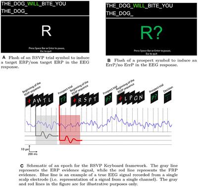 Feedback Related Potentials for EEG-Based Typing Systems